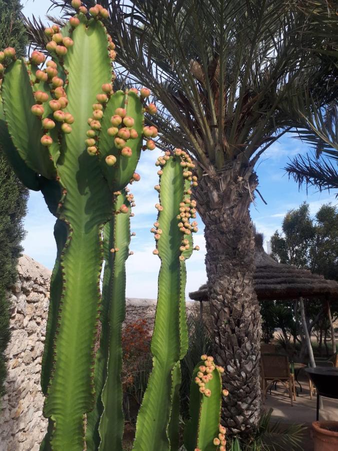 Al Ghar La Maison D'Helene Essaouira מראה חיצוני תמונה