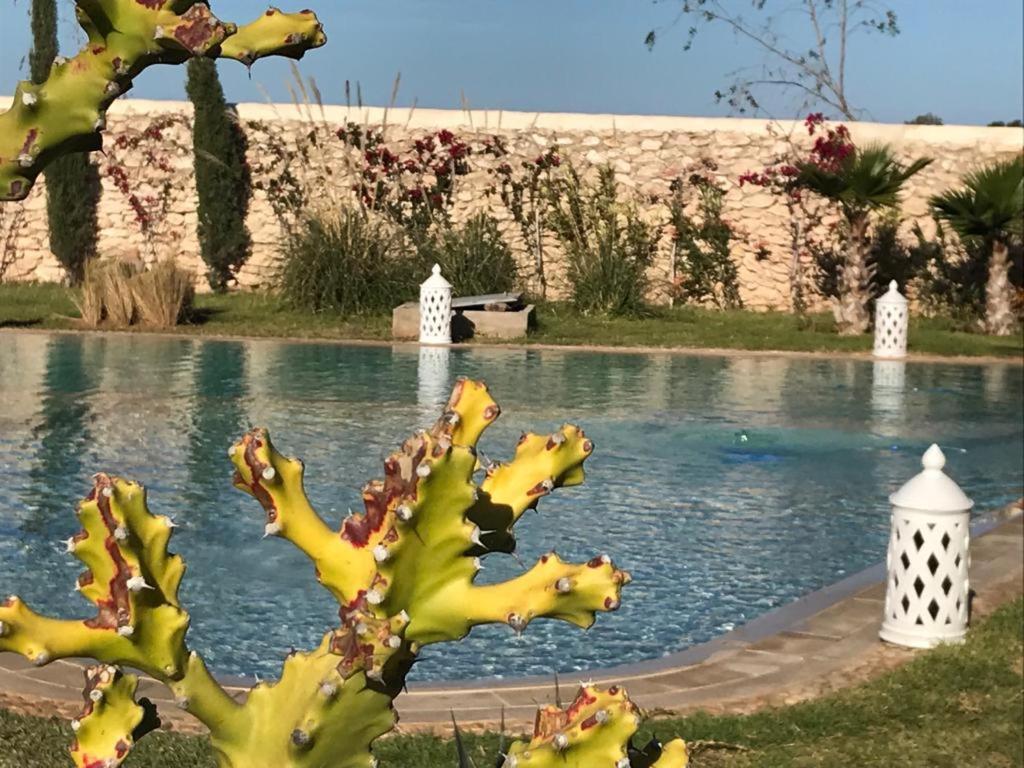 Al Ghar La Maison D'Helene Essaouira מראה חיצוני תמונה